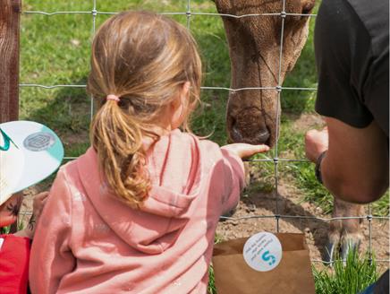 Family Walk to Sky Park Farm for Petersfield Walking Festival