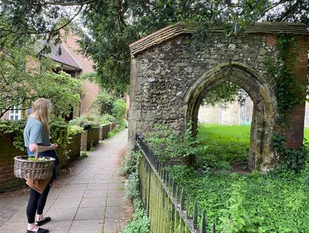 Urban Foraging Workshop in Winchester