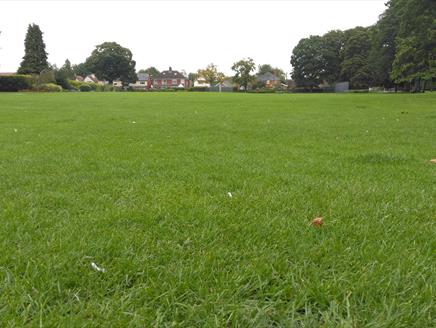 Andover Proms in Vigo Park