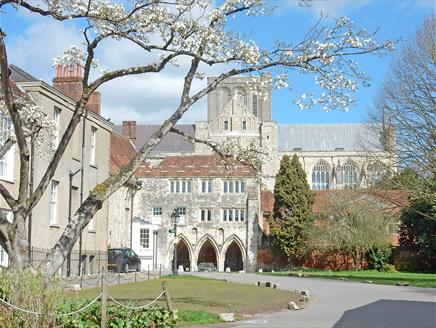 Curious About Winchester