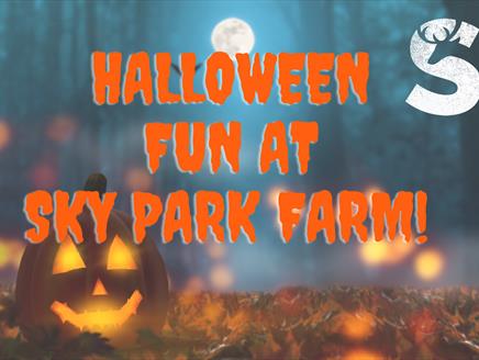 Halloween Half Term Fun at Sky Park Farm