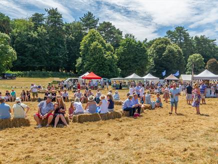 Fizz Fest