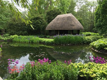 An Evening at the Water Garden: Longstock Park Water Garden