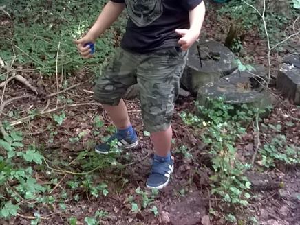 Bushcraft Day