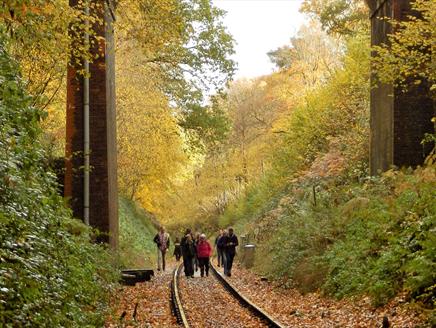 Walk the Line at The Watercress Line