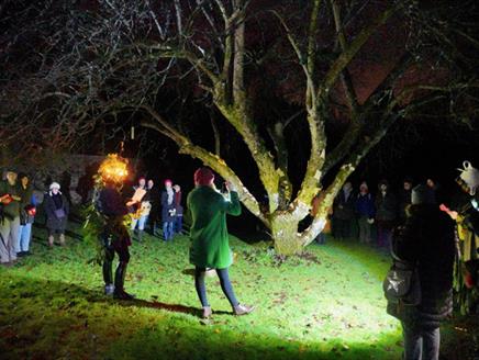 Evening Orchard Wassail at Chawton House