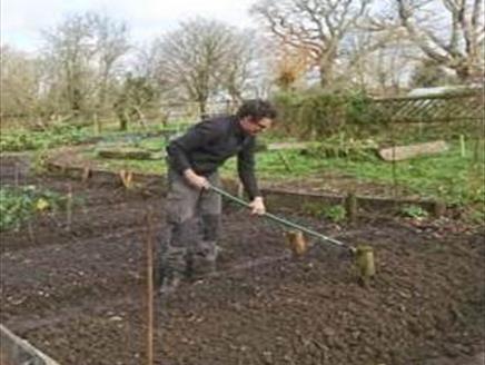 Starting Your Very Own Vegetable Garden at Minstead Study Centre
