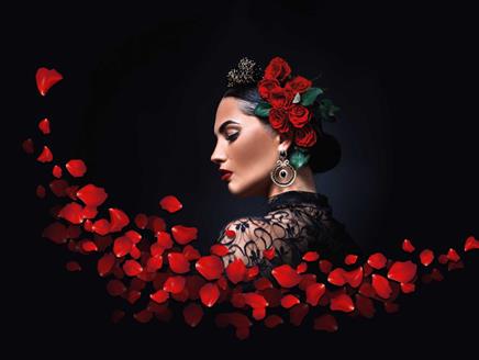Carmen: Ukrainian National Opera at New Theatre Royal