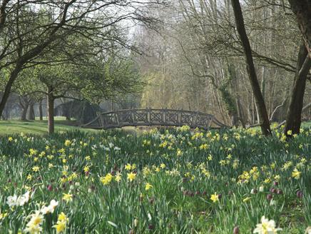 Mother's Day Afternoon Tea at West Green House Gardens