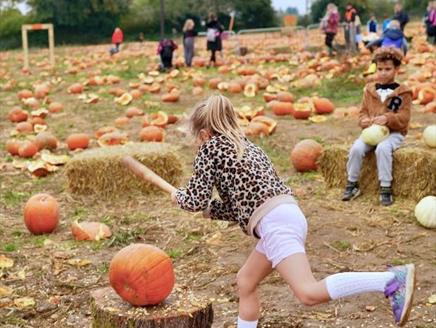 Rogate Pumpkin Smash