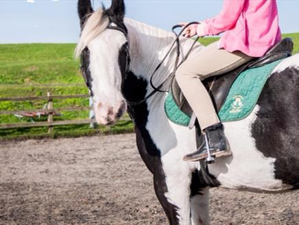 Peter Ashley Activity Centres - Fort Widley, Equestrian Centre