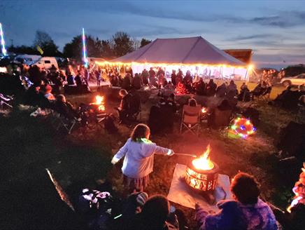 Wild Festivals Hampshire in Winchester