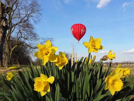 Wonderdays: Hot Air Balloon Rides over Hampshire