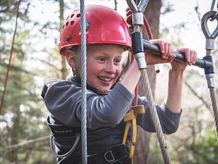 Family Woodland Adventure Day with New Forest Activities