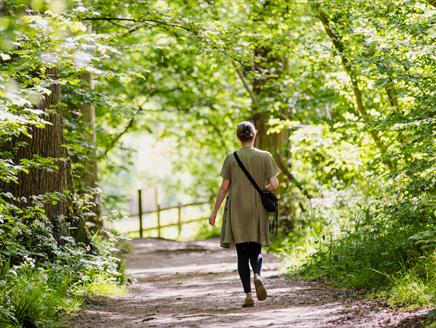 Regency ramble at The Vyne