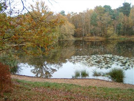 Yateley Common Country Park