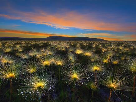 International Garden Photographer of the Year Exhibition at Gosport Gallery