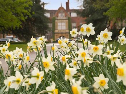 Easter Sunday Luncheon at Tylney Hall