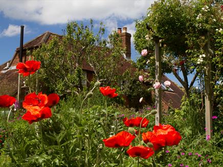 Froyle Open Gardens