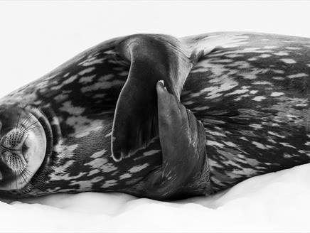 Wildlife Photographer of the Year at Winchester Discovery Centre