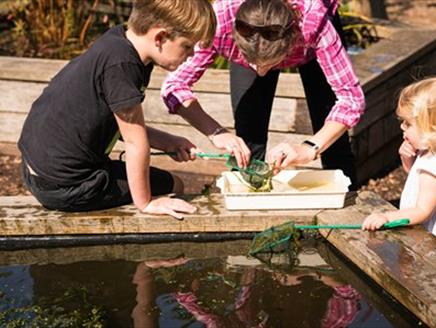 Pond Dipping at Sir Harold Hillier Gardens