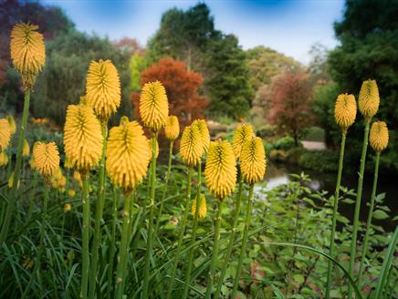 Wildlife & Habitats in the Gardens Sir Harold Hillier Gardens