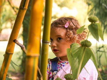 Senses in the Gardens at Sir Harold Hillier Gardens