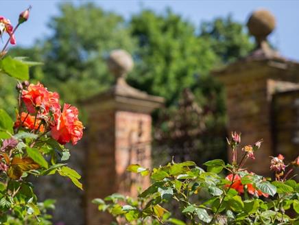 Chawton House Garden Tour