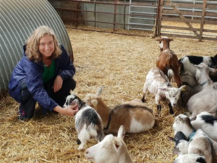 Adult only Farm Day at Miller's Ark