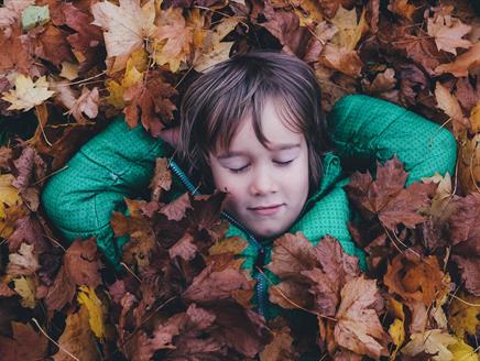 Autumn leaves