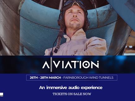 Aviation event poster, vintage pilot stood next to historic plane
