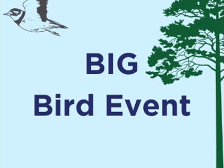 Big Bird Event at Lepe Country Park