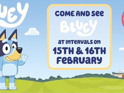 Come and See Bluey 15-16 February