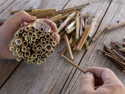 Bug Hotel making