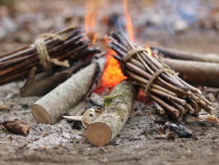 Bush Craft at Lepe Country Park