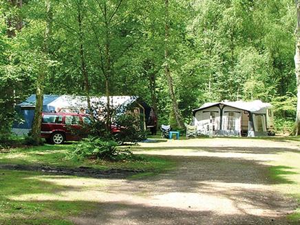 Wellington Country Park - Caravan & Campsite