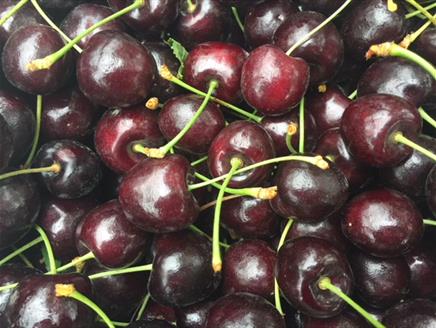 Cherry Orchard Tours & Cherry Market at Blackmoor Orchards
