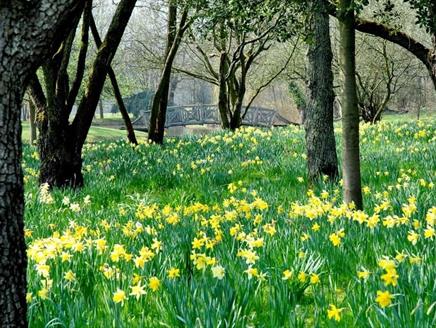 Easter at West Green House Gardens