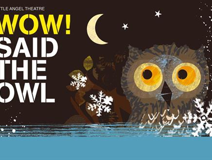Wow! Said The Owl at NST City
