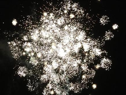 Whitehill and Bordon Firework Display