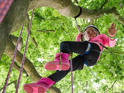 Climb a Tree at Sir Harold Hillier Gardens