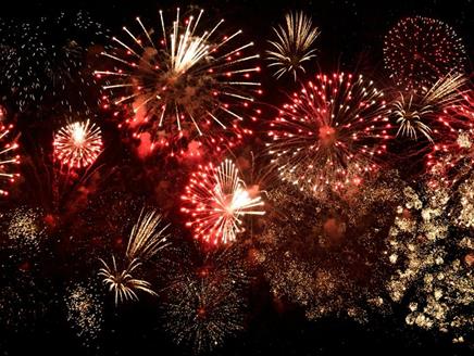 Firework Frenzy at Pumpkin Pastures Fordingbridge