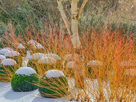 Winter Lecture Lunch: Medieval Christmas at Sir Harold Hillier Gardens