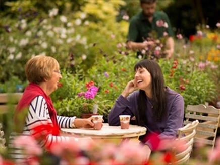 Staunton's Tea Festival