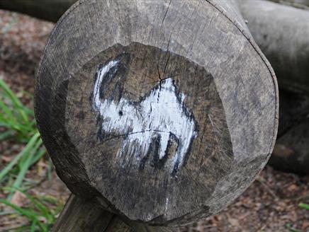 Family Archaeology: Stone Age at Sir Harold Hillier Gardens