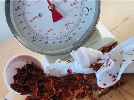 Natural Dyeing Workshop - scales and petals
