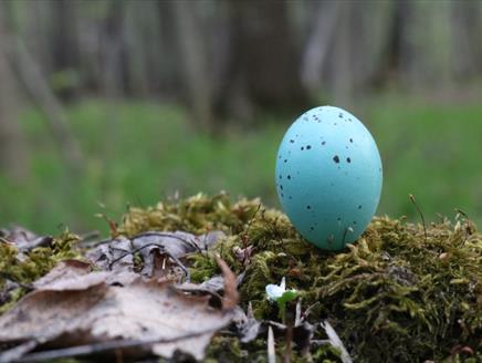 Garden Bird Easter Egg Hunt at Gilbert White's House