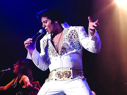 The Elvis Years