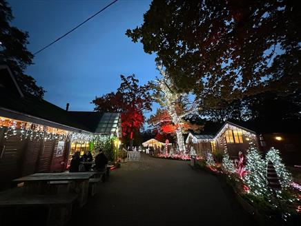 Winterfest at Sandy Balls Holiday Village