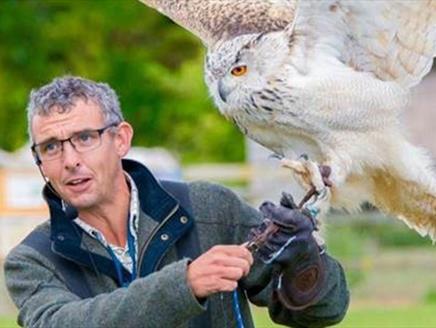 Falconry Days at Exbury Gardens & Steam Railway